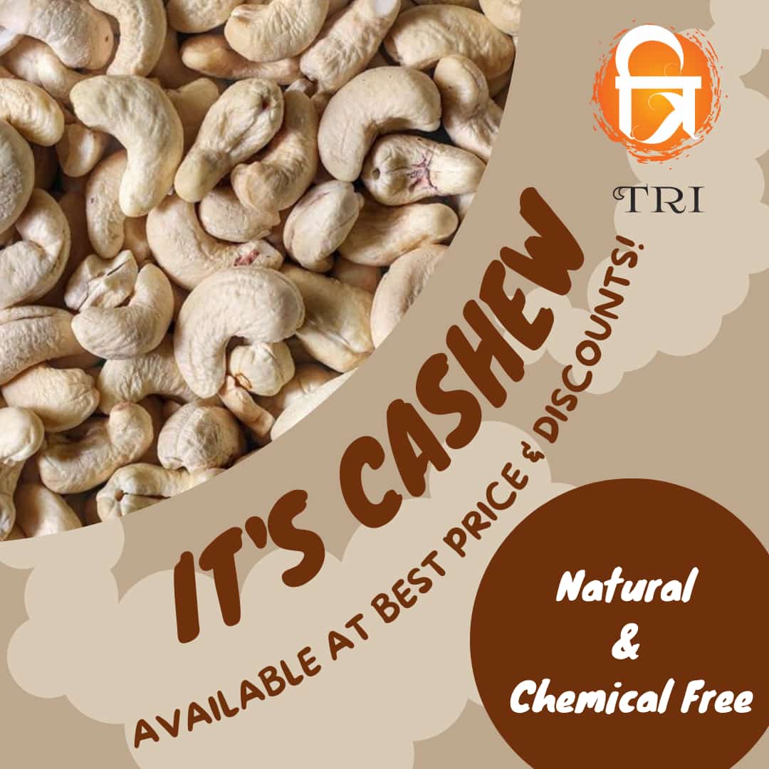 Cashew Nut / Kaju